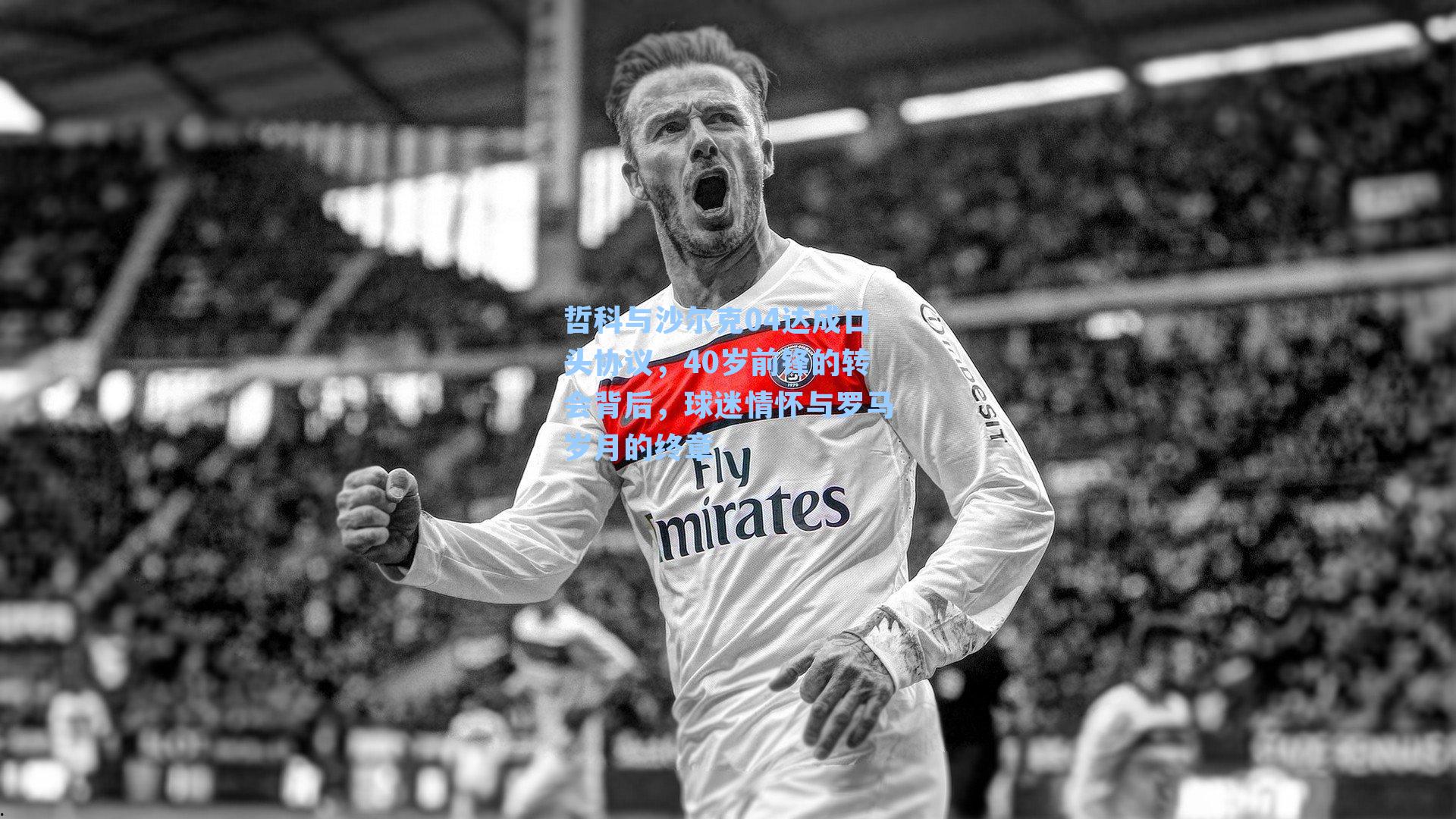 哲科与沙尔克04达成口头协议,40岁前锋的转会背后,球迷情怀与罗马岁月的终章